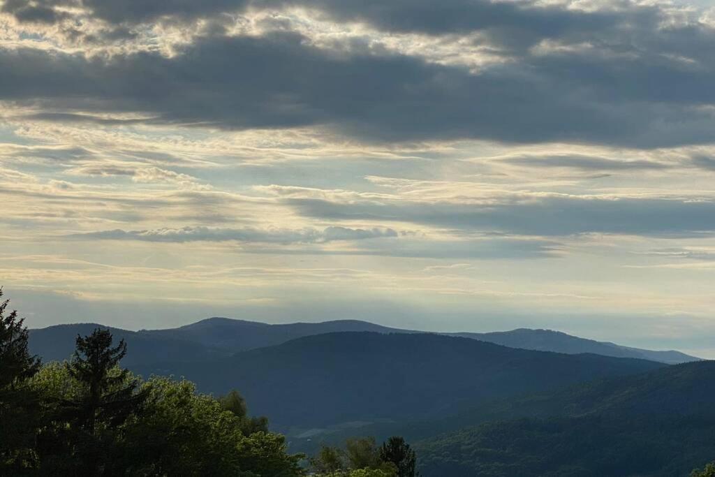 Urig / Mitten Im Bayerischen Wald + Schonblick + Netflix Schöfweg Dış mekan fotoğraf